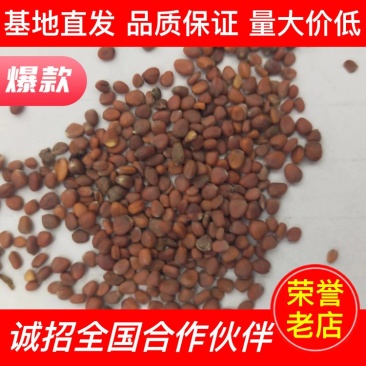 【中药材】莱菔子厂家一手货源全国批发价低货足保质保量