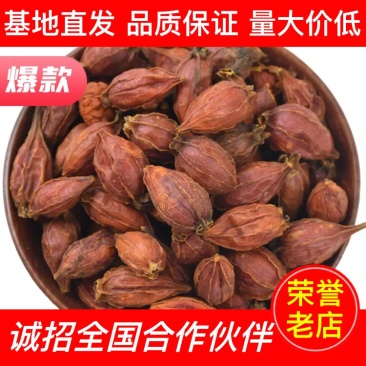 【药材直发】栀子厂家一手货源量大价低全国批发走货保质保量