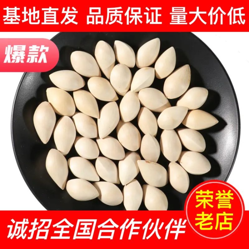 【药材】白果厂家一手货源量大价低全国批发走货保质保量