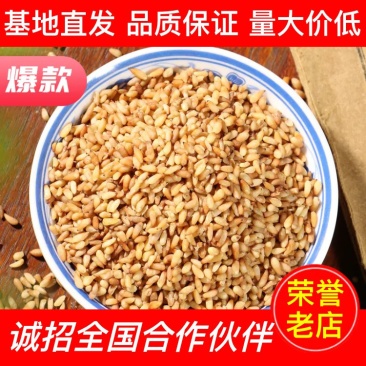 【药材直发】柏子仁厂家一手货源量大价低全国批发走货保质保量