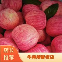 【无中间商】辽宁红富士苹果口感脆甜个头均匀货源充足