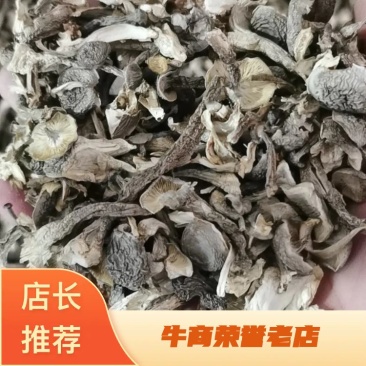 新货鹿茸菇干货福建古田特产农家鹿茸菌新鲜无硫菌菇煲汤炒菜