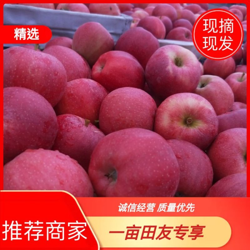 宁夏红富士苹果个大味甜一手货源鲜货代办价格可谈