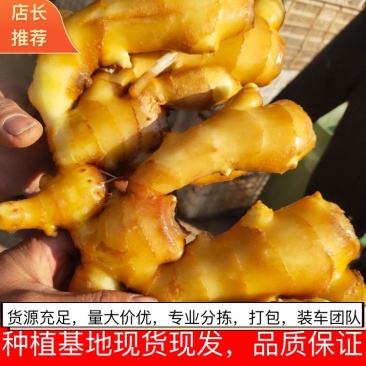 生姜产地现货，鲜姜芽，大黄姜，小黄姜，姜巴，保证质量。
