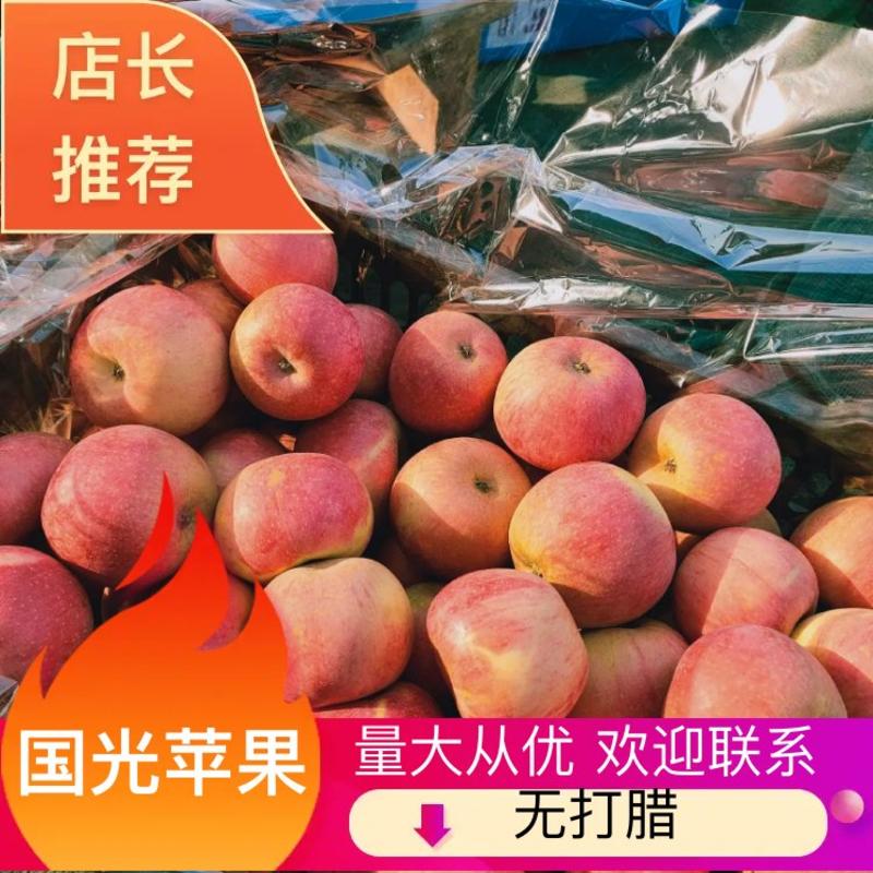辽南瓦房店国光苹果大量上市了，没打蜡，没公害绿色食品