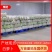 【精品】湖北白萝卜白萝卜一手货源保质保量