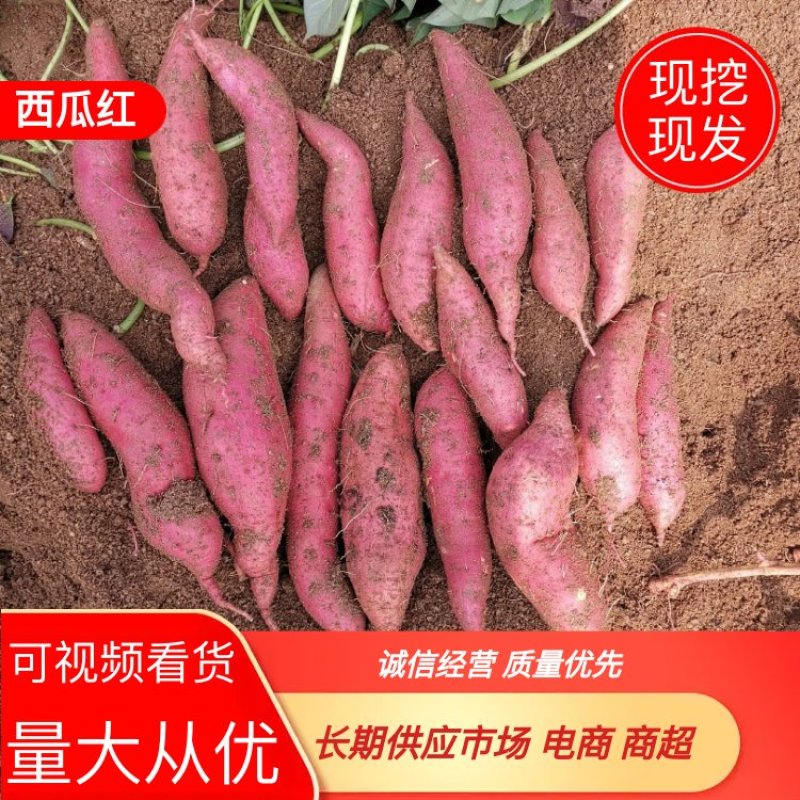 【红薯】西瓜红，2两以上红心货源充足有稳定发车能力！