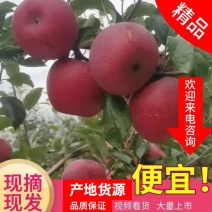 盐源苹果自产直供，红富士苹果上市，不打蜡，不催熟，有华硕