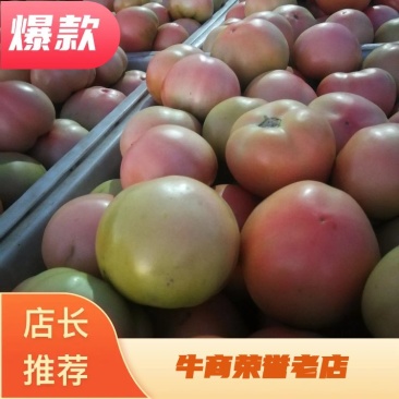 硬粉西红柿商超品质，量大从优，欢迎选购
