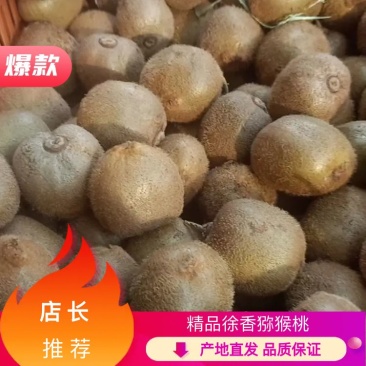 【陕西】海沃德/徐香猕猴桃货源充足供应市场/电商