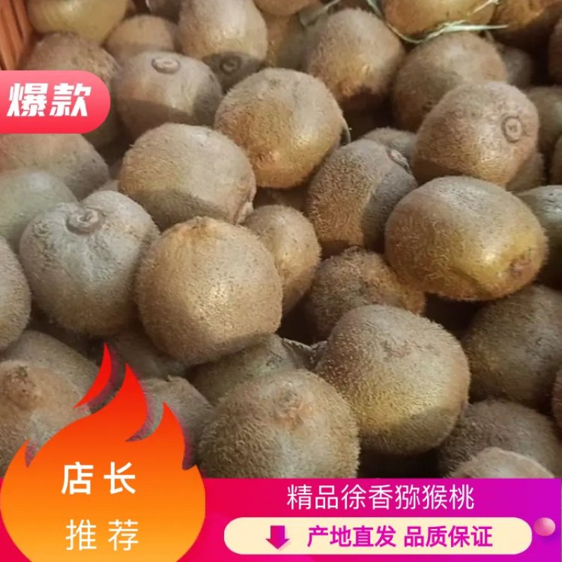 【陕西】海沃德/徐香猕猴桃货源充足供应市场/电商