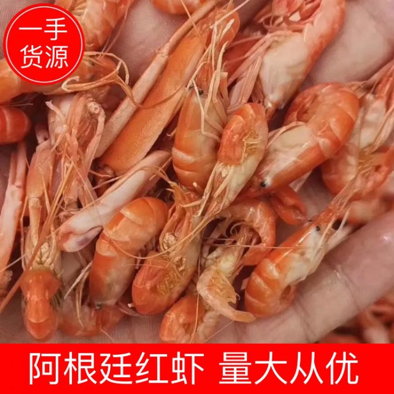 精品抓虾狗虾红虾量大从优可长期合作诚信经营