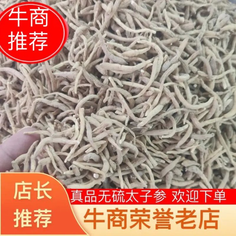 【推荐】太子参特价批发一手货源欢迎下单