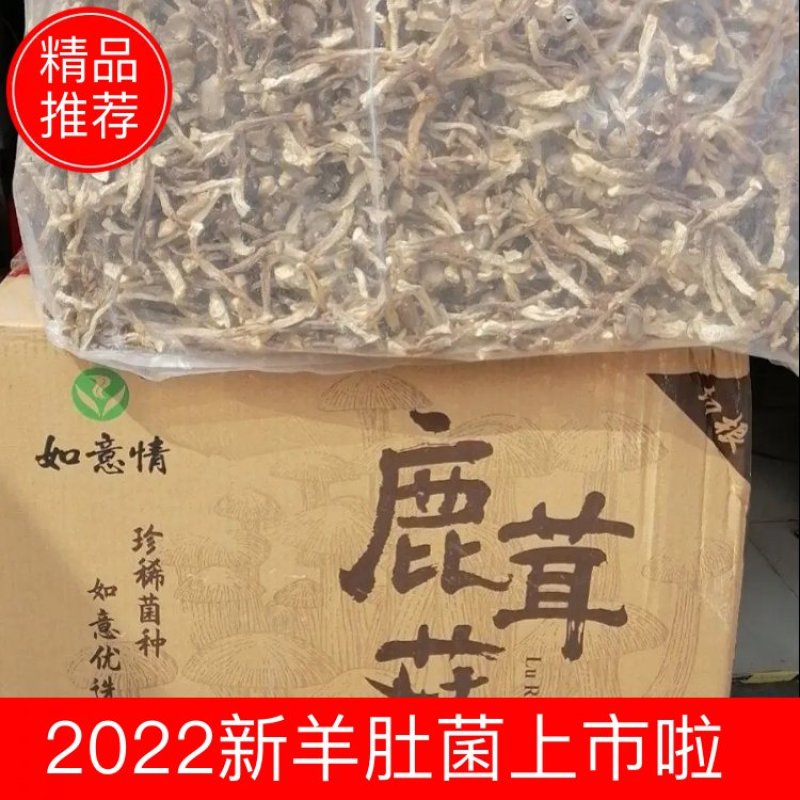 高，中，差鹿茸菇好吃不贵，老少皆宜可炒菜炖汤干锅。