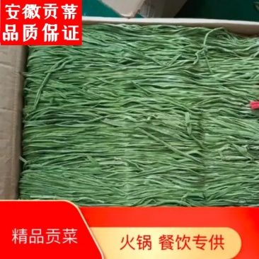 【精品】安徽特产贡菜全国接单视频看货量大优惠,全国接单