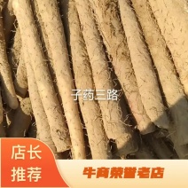 河北铁棍山药大量上市，全国发货，量大从优