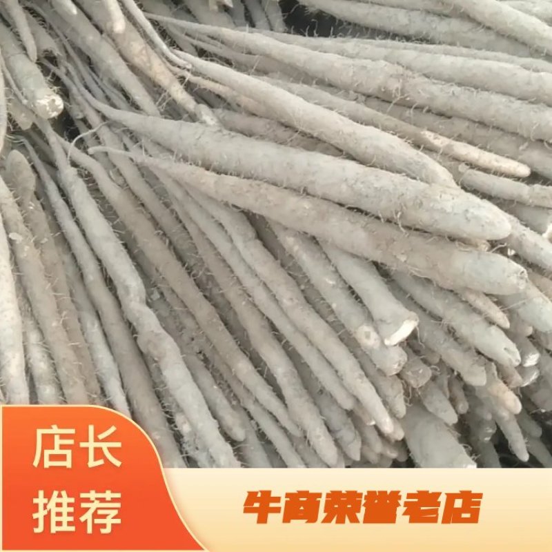【精品小白嘴山药】河北山药产地货源规格齐全山药