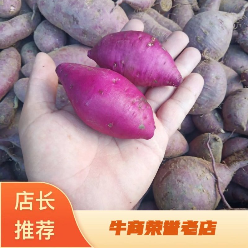 【精品】紫薯紫罗兰对接电商市场批发工厂加工