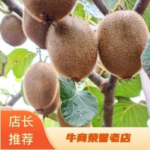 【精品猕猴桃】猕猴桃眉县徐香猕猴桃，量大从优，欢迎采购