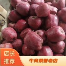 【精品花牛】甘肃精品花牛苹果礼县花牛大量供应，欢迎合作