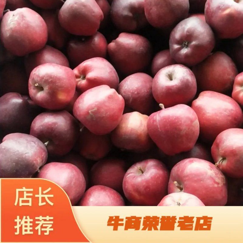 【推荐】甘肃精品花牛苹果礼县花牛大量供应，欢迎合作