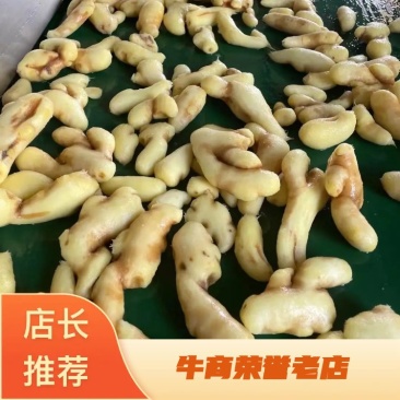 优质姜块基地直供产地直发量大从优欢迎老板考察选购
