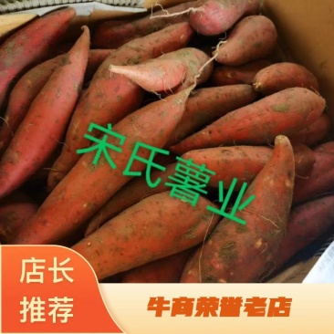 开封西瓜红