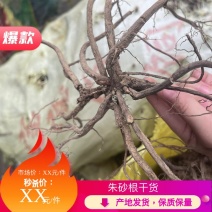 朱砂根干货、现货。需要的老板可以下单！