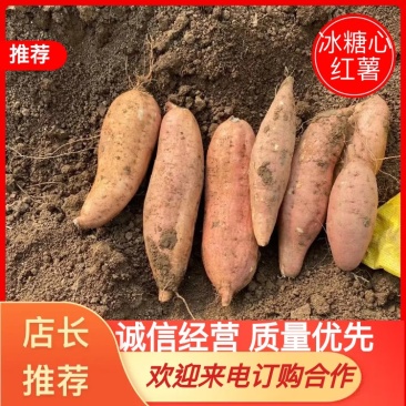 精品哈密、冰糖心红薯千亩种植基地，产地直发品质保证！