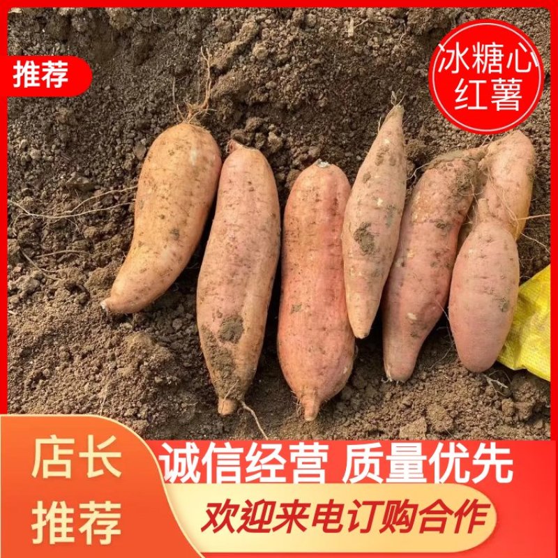 精品哈密、冰糖心红薯千亩种植基地，产地直发品质保证！