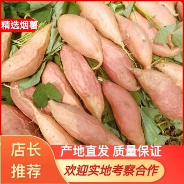 烟薯25，烤红薯，蜜薯基地直发价格优惠电商批发欢迎来电