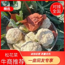 唐山有机花大量上市，个头小，颜色白，质量好