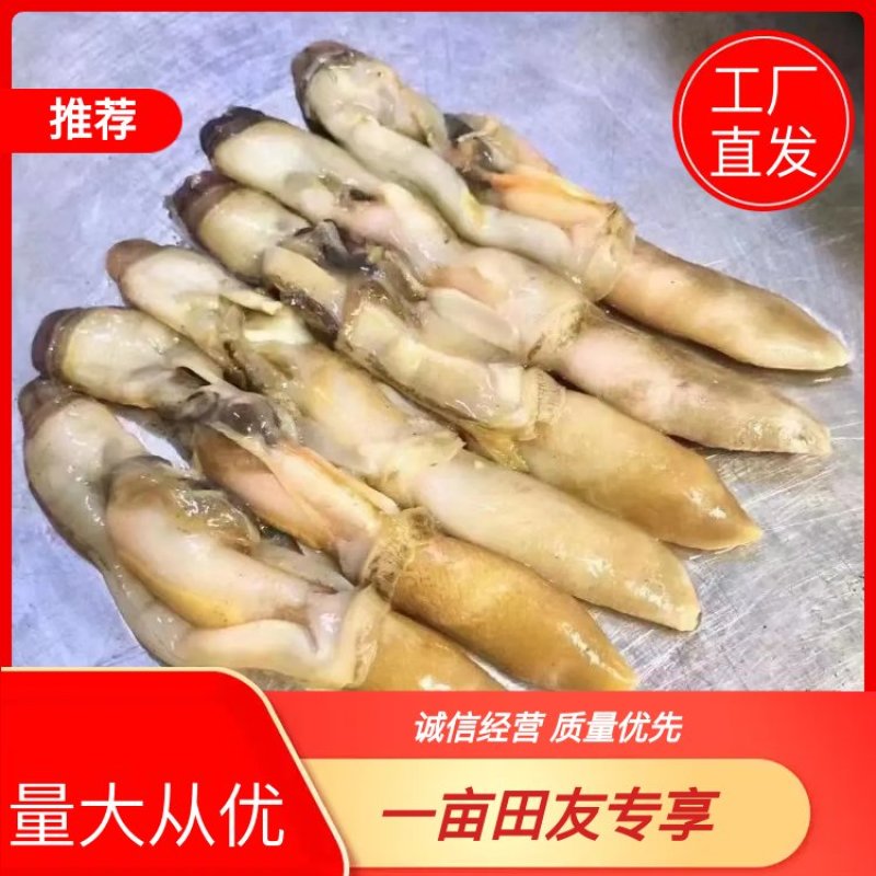 蛏肉，量大从优，欢迎采购一件代发，捞汁食材