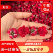 冻干玫瑰花冠，全国发货，产地发货可视频