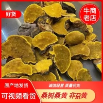 野生桑树桑黄，非杂黄，全国可发货，可视频看货