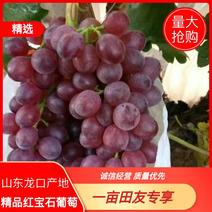 精品红宝石葡萄，产地发货，品质好，质量保证供应全国各地