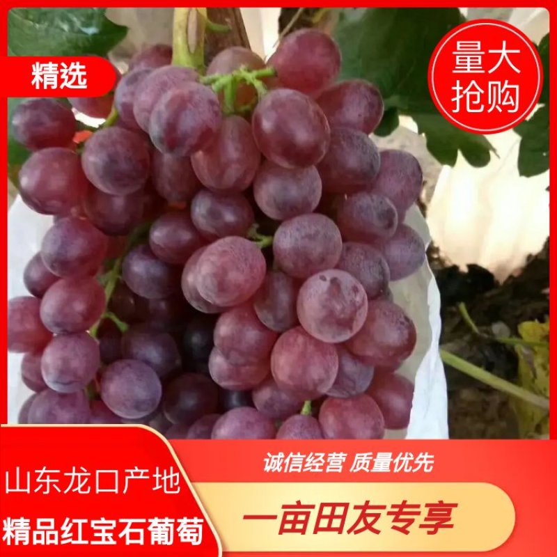 山东烟台龙口红宝石产地发货，品质好，质量保证供应全国