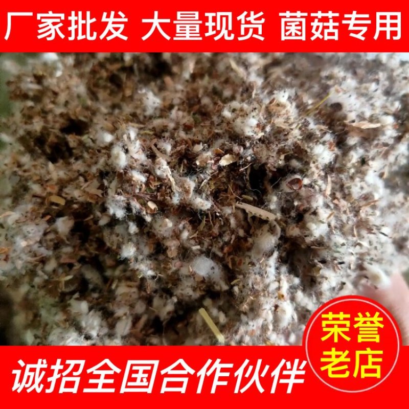 【厂家货源】优质棉渣籽大量现货食用菌专用提供配方