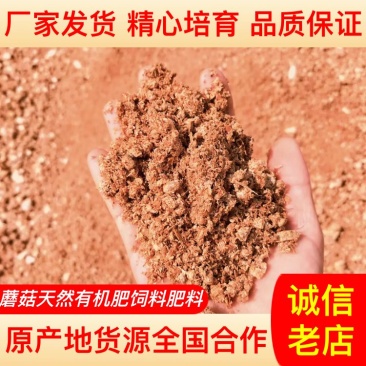 【基地发货】杏鲍菇菌袋天然绿色有机肥一手货源量大价低质量保证