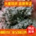 【现货速发】精致好棉籽壳价格低品质好一手货源（小壳）饲料肥料