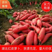 【精品】湖北红皮萝卜萝卜红萝卜一手货源保质保量