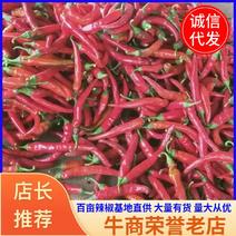 山西辣椒，鲜红辣椒，红椒大量有货，百亩辣椒基地直供