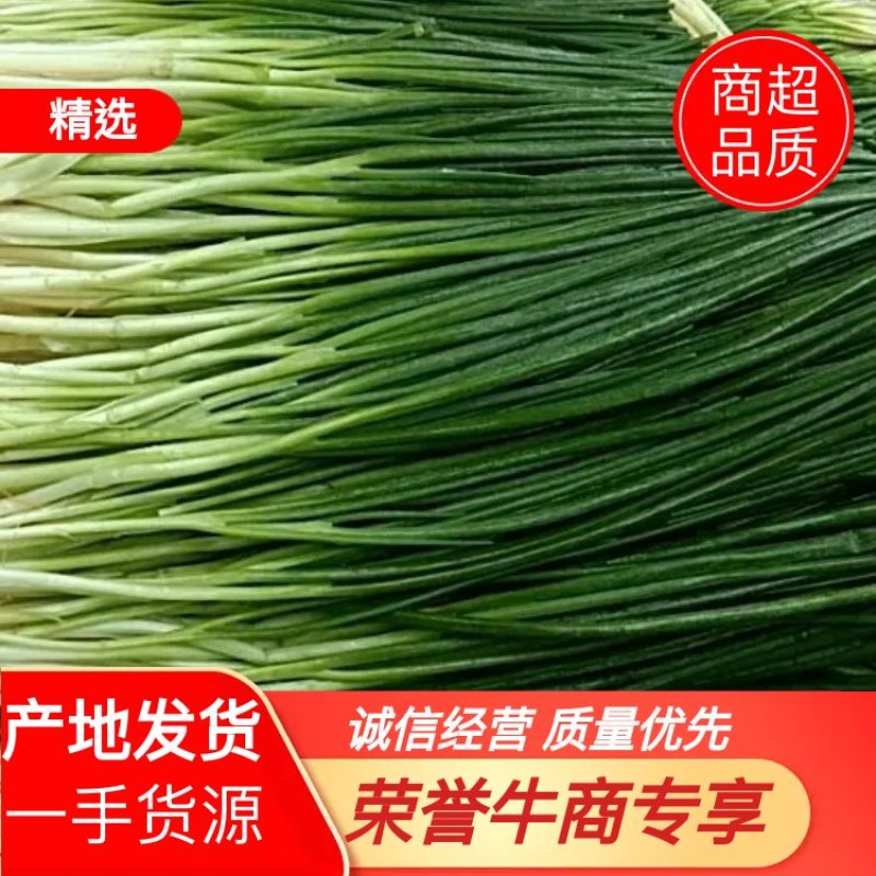 小葱，自产自销，一手货源产地发货大量有货