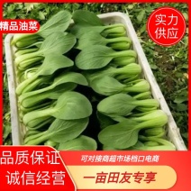 江苏精品小颗小菜品质保证诚信经营欢迎联系