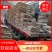《杨树板皮》厚度1.8-2.2常年供应支持视频看货