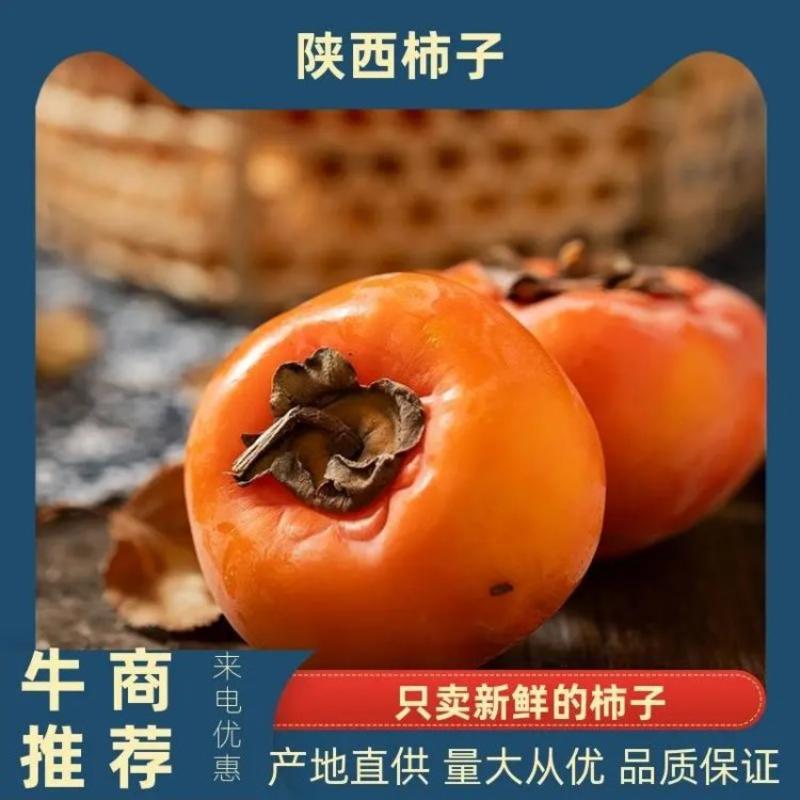 【品类齐】阳丰甜柿，火葫芦，吊红柿子陕西质优价廉