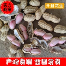 开封优质鲜花生，基地货源，品质保证，量大从优