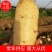 【好货】土豆山东荷兰十五土豆常年供应品质保证