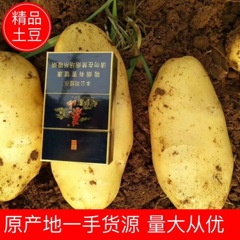 【土豆】优质荷兰十五土豆黄皮黄芯量大从优欢迎咨询