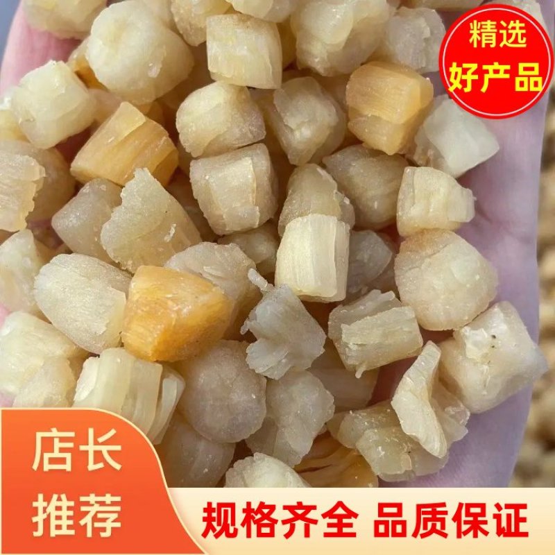 淡干干贝精品瑶柱可拿样价格实惠品质保障